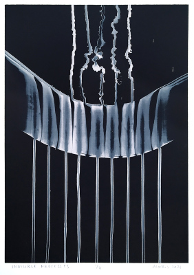 Invisible Processes 2021 screenprint on paper&nbsp;