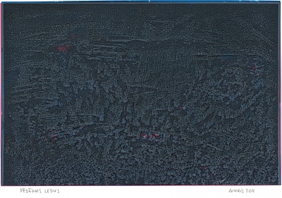 The last ice. Porous and dirty, only rarely does the sky light up in some watery. &nbsp; 2011