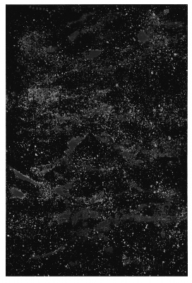 THE STATE OF THE STARS &nbsp;2016